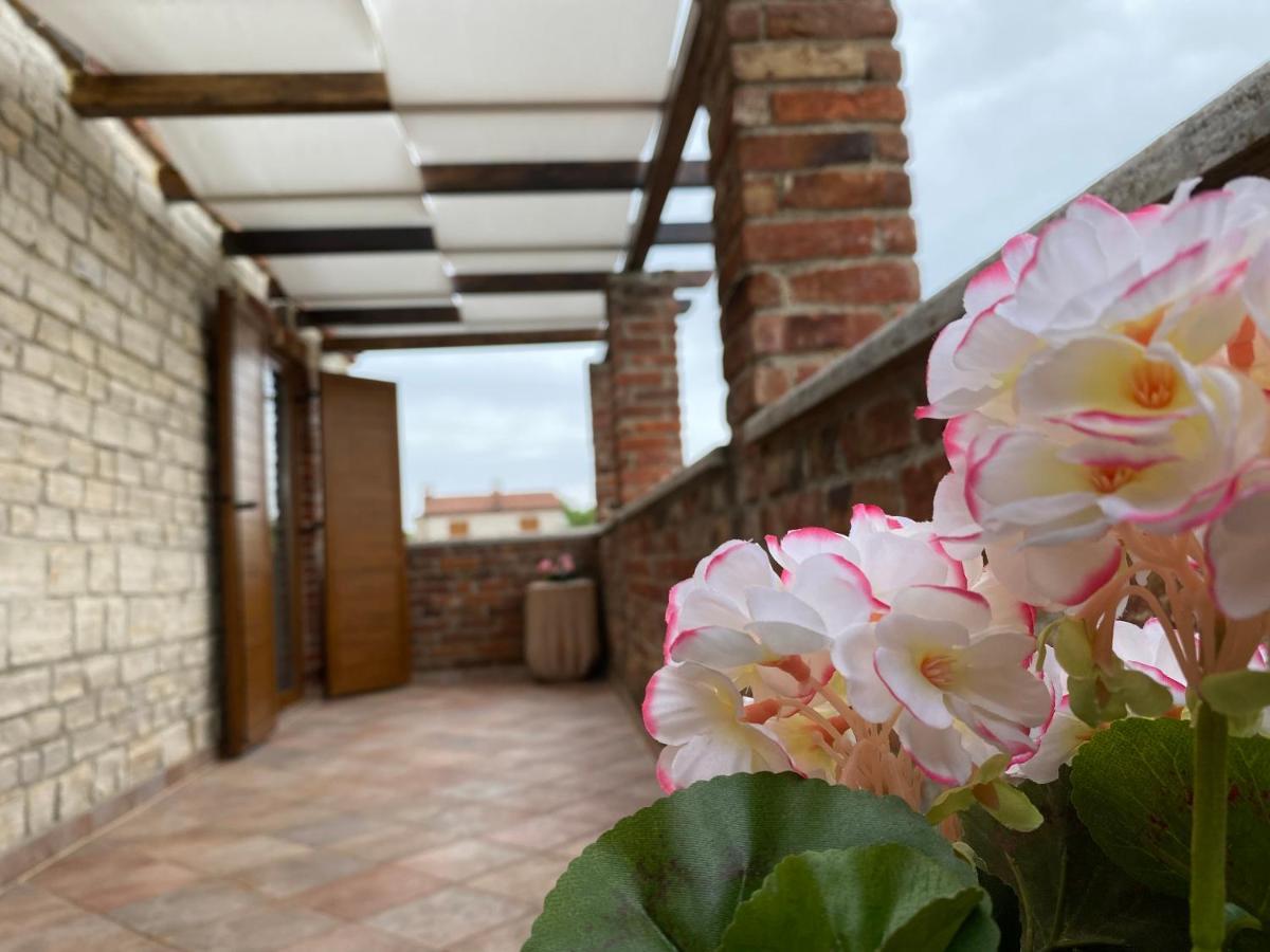 Paradise Villa Cassonni Istria 4 Stars Butkovići Dış mekan fotoğraf